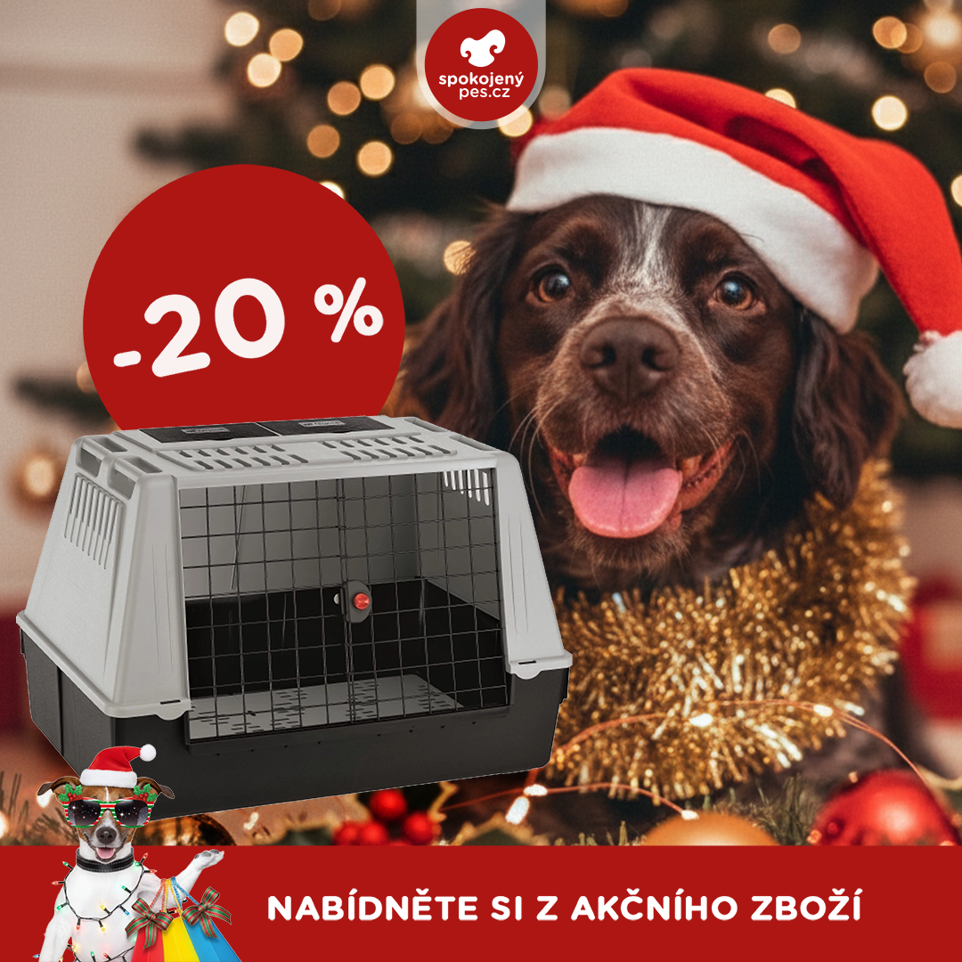 akční prosinec_pes13.png